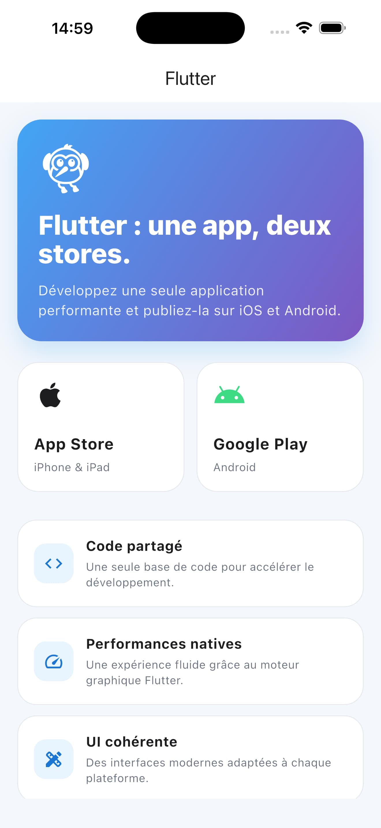 Application développée en Flutter